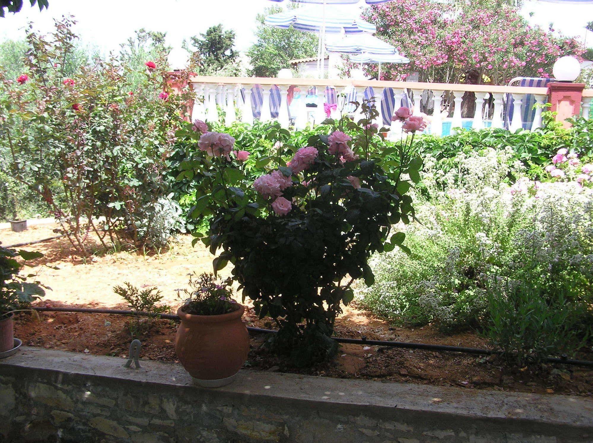 Апарт отель Knossos Panormos  Экстерьер фото