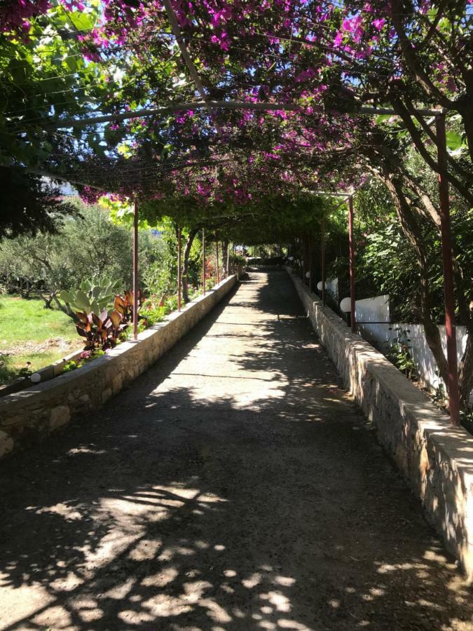 Апарт отель Knossos Panormos  Экстерьер фото